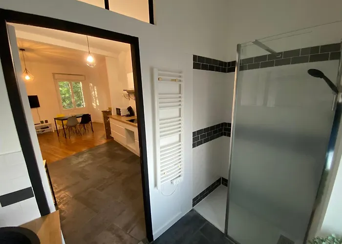 Superbe Appartement Spacieux - Cite Des Congres
